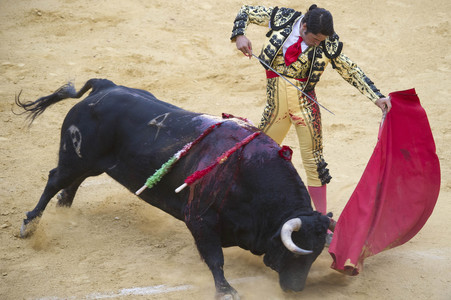 Stierkampffestival in Alcalá de Henares