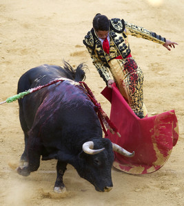 Stierkampffestival in Alcalá de Henares