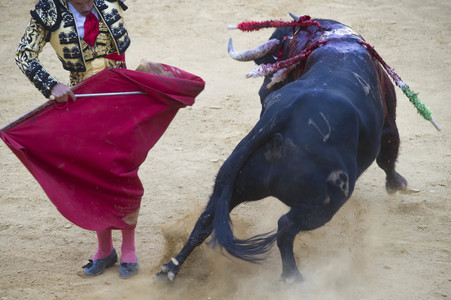 Stierkampffestival in Alcalá de Henares