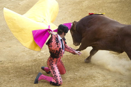Stierkampffestival in Alcalá de Henares