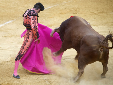 Stierkampffestival in Alcalá de Henares