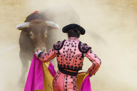 Stierkampffestival in Alcalá de Henares