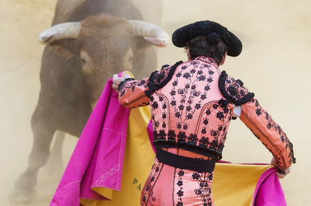 Stierkampffestival in Alcalá de Henares
