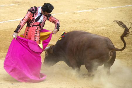 Stierkampffestival in Alcalá de Henares