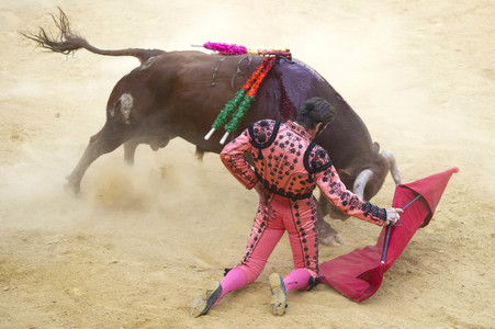 Stierkampffestival in Alcalá de Henares