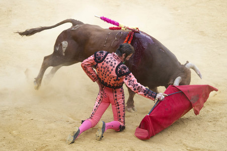 Stierkampffestival in Alcalá de Henares
