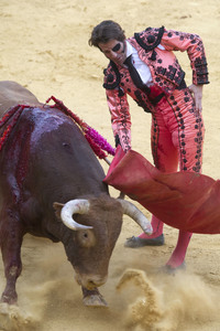 Stierkampffestival in Alcalá de Henares