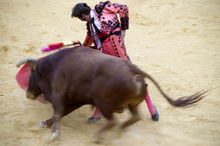Stierkampffestival in Alcalá de Henares