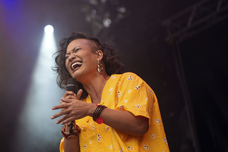 Frankfurter Museumsuferfest 2015