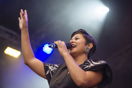 Frankfurter Museumsuferfest 2015