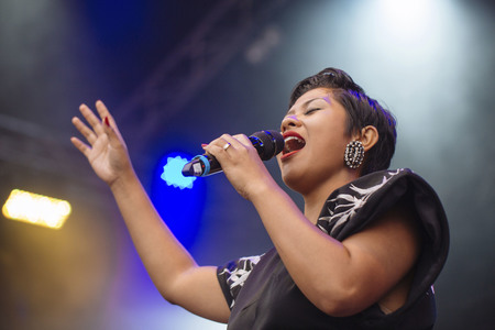 Frankfurter Museumsuferfest 2015