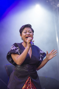 Frankfurter Museumsuferfest 2015