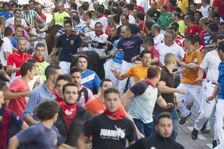 Stierlauf in San Sebastian de los Reyes