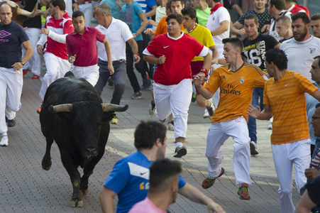 Stierlauf in San Sebastian de los Reyes