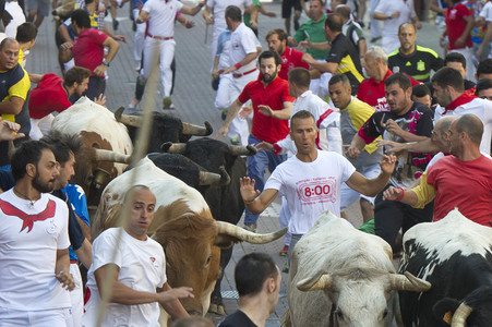 Stierlauf in San Sebastian de los Reyes