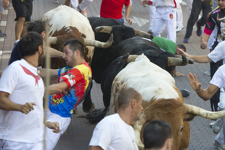 Stierlauf in San Sebastian de los Reyes