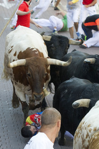 Stierlauf in San Sebastian de los Reyes