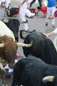 Stierlauf in San Sebastian de los Reyes