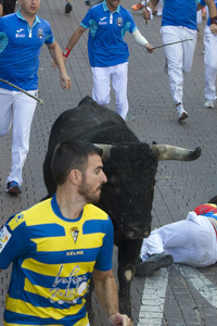 Stierlauf in San Sebastian de los Reyes