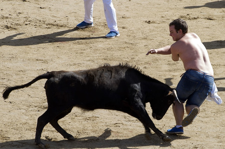 Stierlauf in San Sebastian de los Reyes