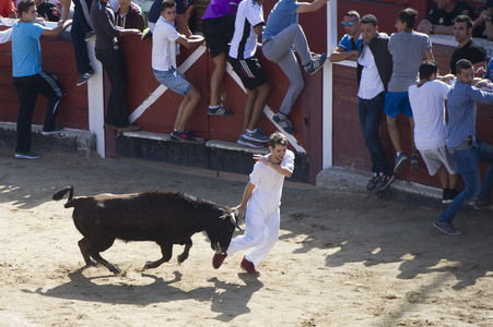 Stierlauf in San Sebastian de los Reyes