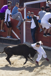 Stierlauf in San Sebastian de los Reyes