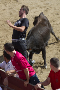 Stierlauf in San Sebastian de los Reyes