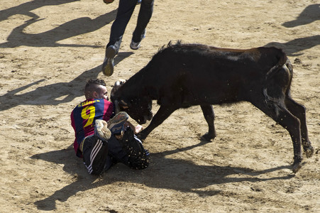 Stierlauf in San Sebastian de los Reyes