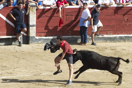 Stierlauf in San Sebastian de los Reyes
