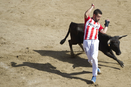 Stierlauf in San Sebastian de los Reyes