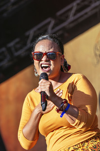 Frankfurter Museumsuferfest 2015