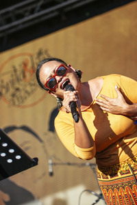 Frankfurter Museumsuferfest 2015