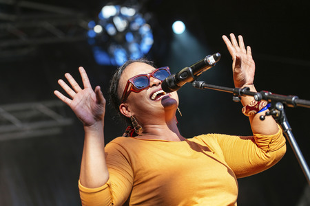 Frankfurter Museumsuferfest 2015