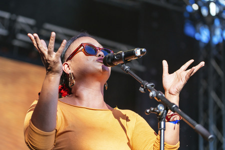Frankfurter Museumsuferfest 2015