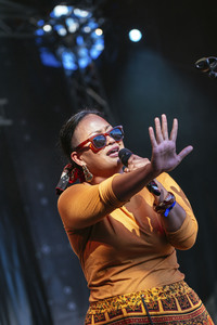 Frankfurter Museumsuferfest 2015