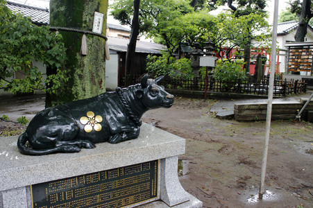 Sightseeing Tokio