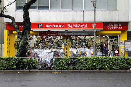 Sightseeing Tokio