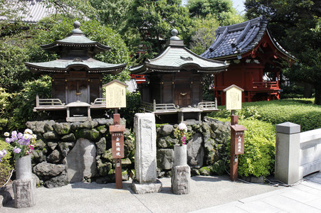 Sightseeing Tokio