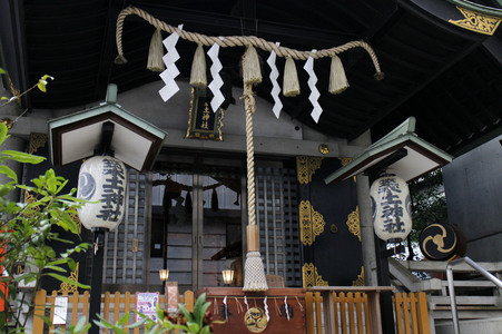 Sightseeing Tokio