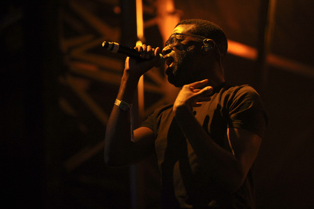 Austin City Limits Music Festival 2015 in Austin