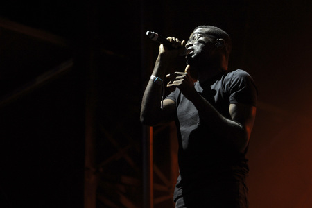 Austin City Limits Music Festival 2015 in Austin