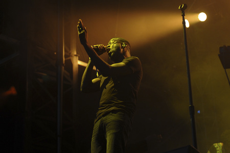 Austin City Limits Music Festival 2015 in Austin