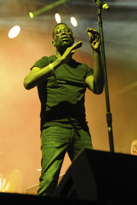 Austin City Limits Music Festival 2015 in Austin