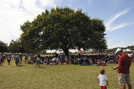Austin City Limits Music Festival 2015 in Austin