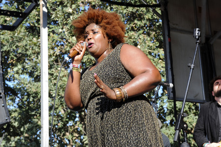 Austin City Limits Music Festival 2015 in Austin