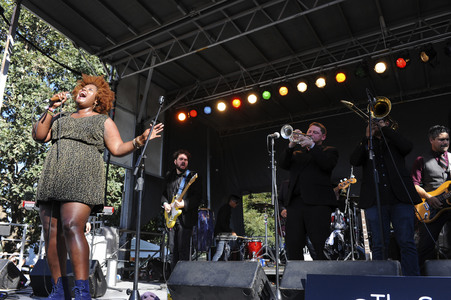 Austin City Limits Music Festival 2015 in Austin
