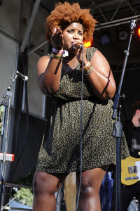 Austin City Limits Music Festival 2015 in Austin