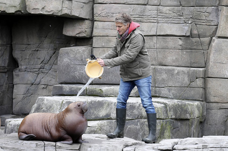 Jörg Pilawa tauft Walross in Hamburg