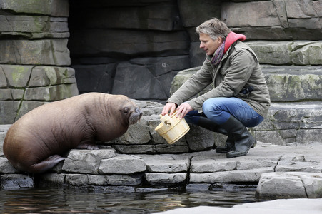 Jörg Pilawa tauft Walross in Hamburg