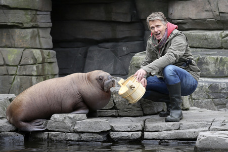 Jörg Pilawa tauft Walross in Hamburg